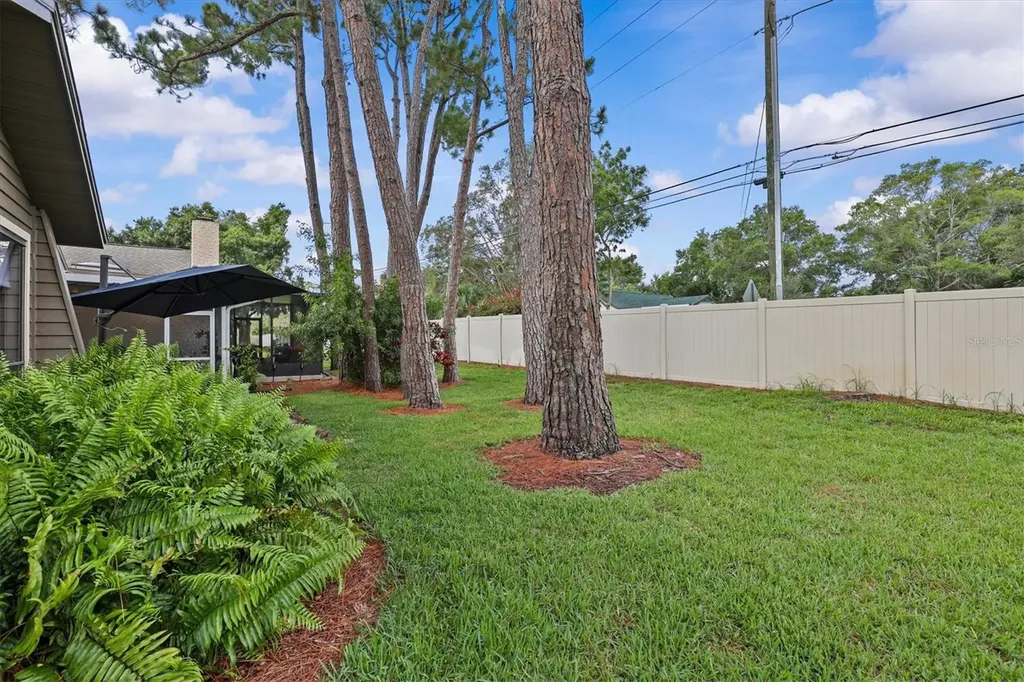 1315 Westlake Boulevard Palm Harbor FL 34683