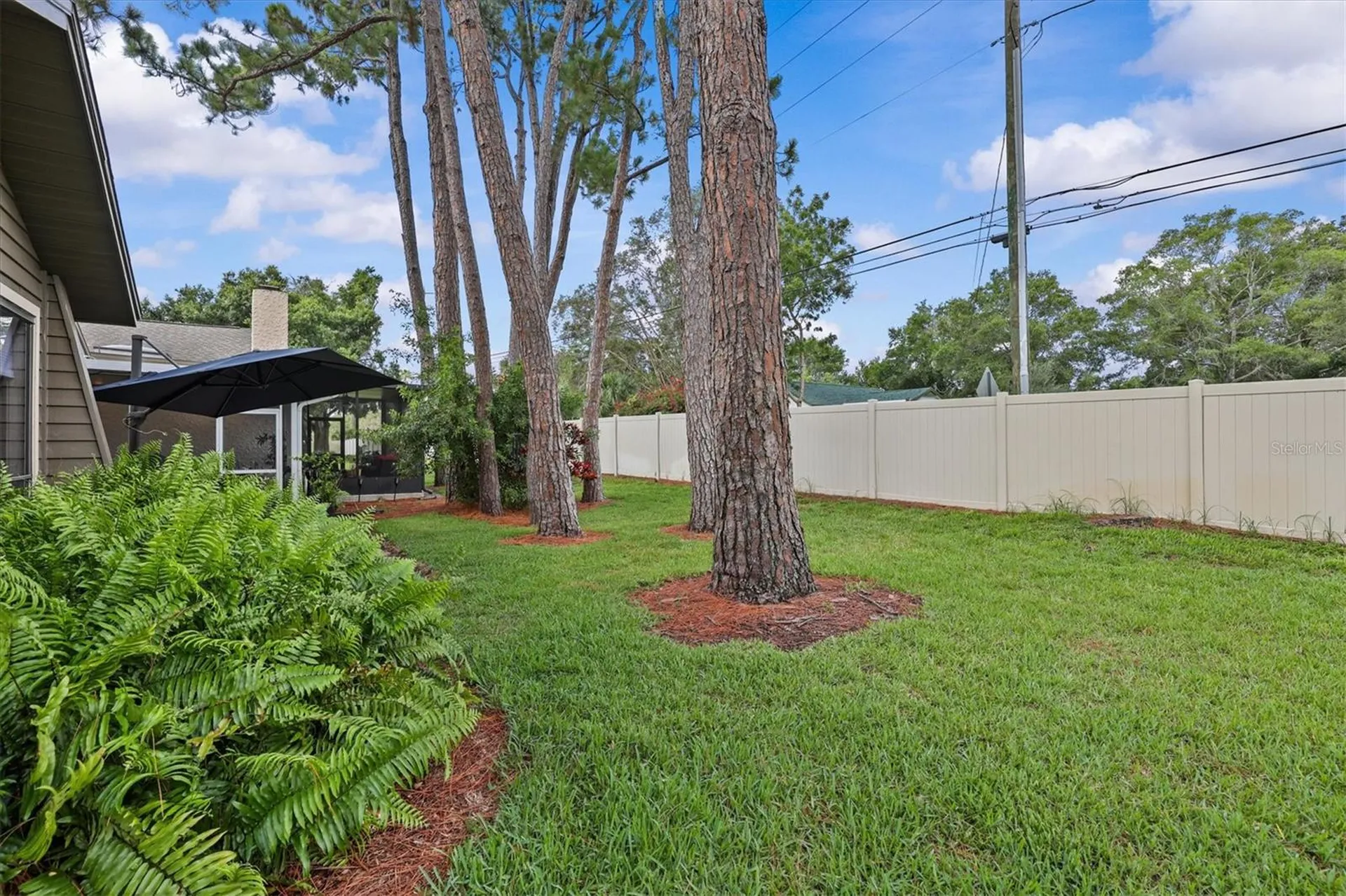 1315 Westlake Boulevard Palm Harbor FL 34683
