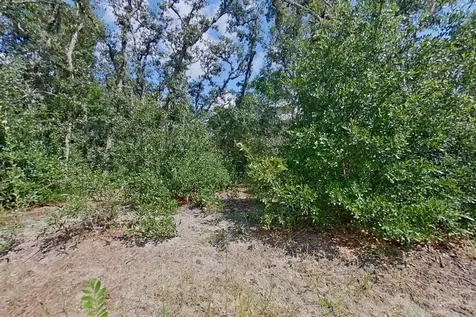 2907 W Camilo Drive Citrus Springs FL 34434