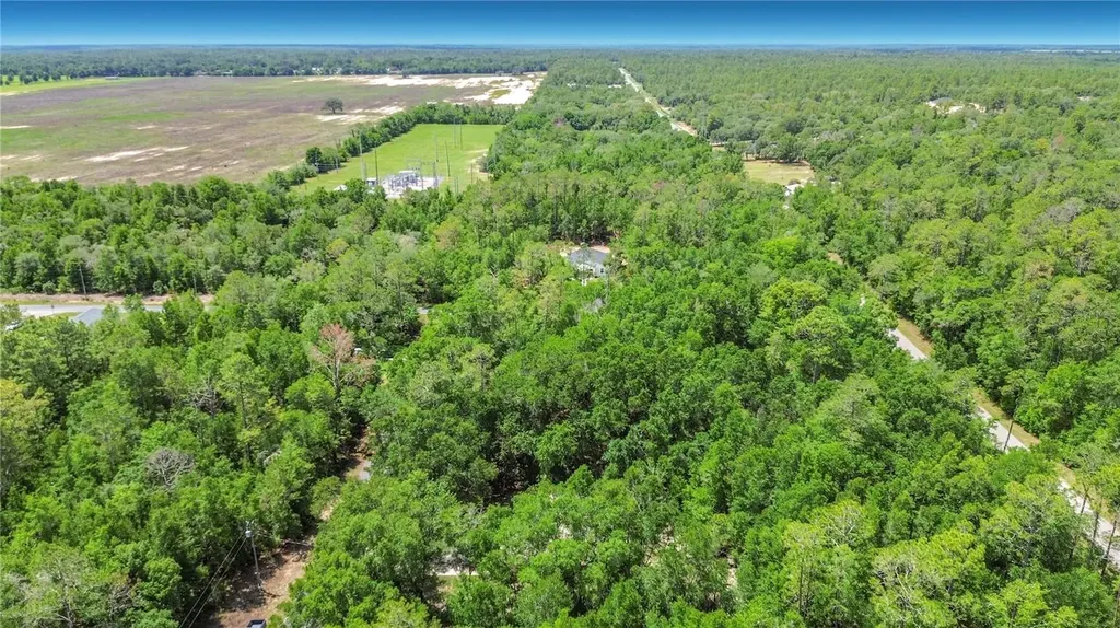 2226 SW Algiers Court Dunnellon FL 34431