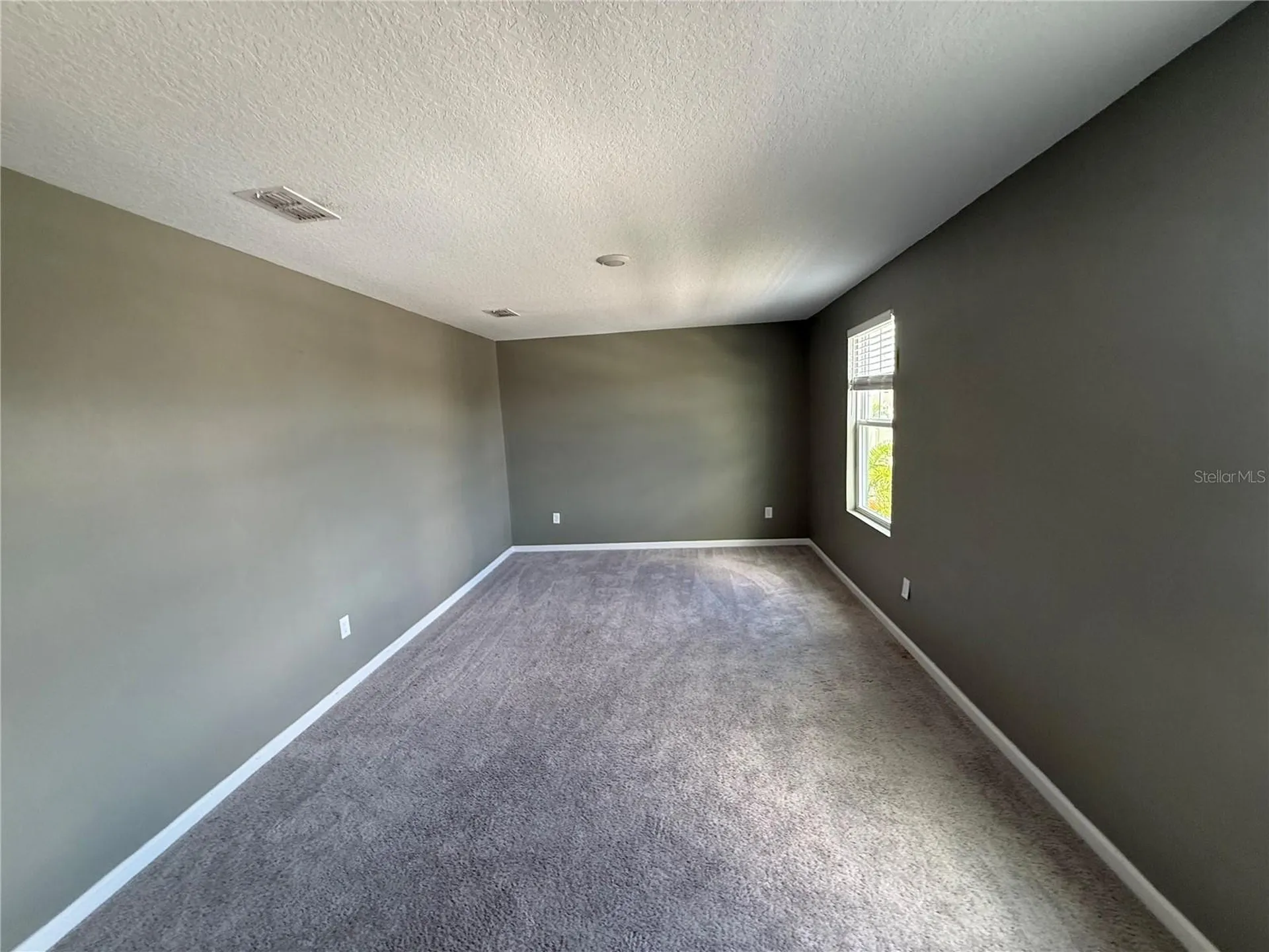 462 Spotted Slipper Place Ruskin FL 33570