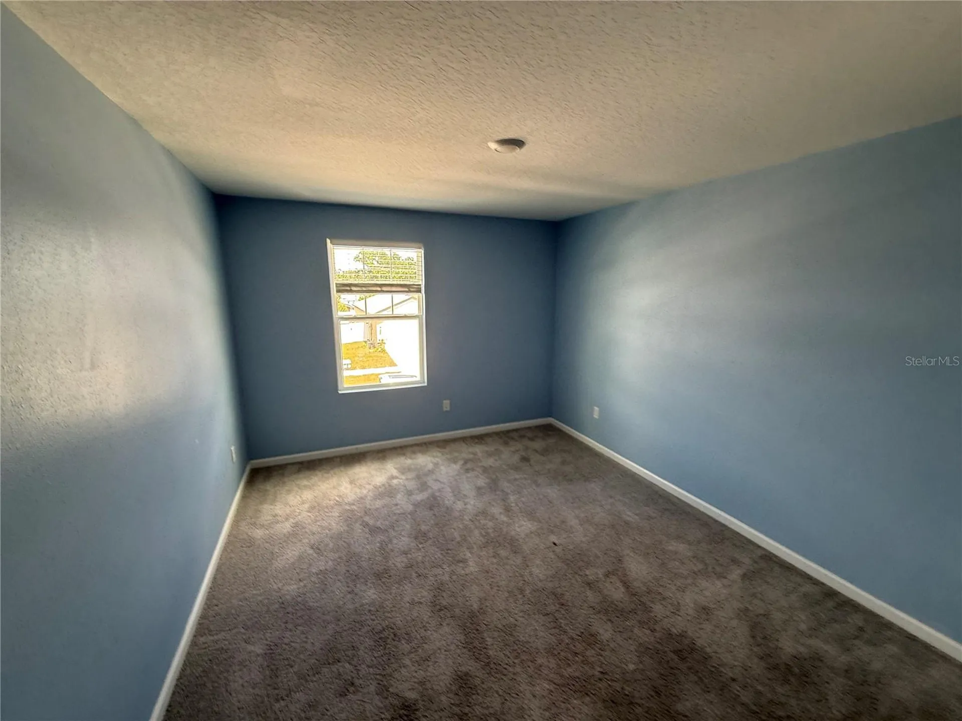 462 Spotted Slipper Place Ruskin FL 33570