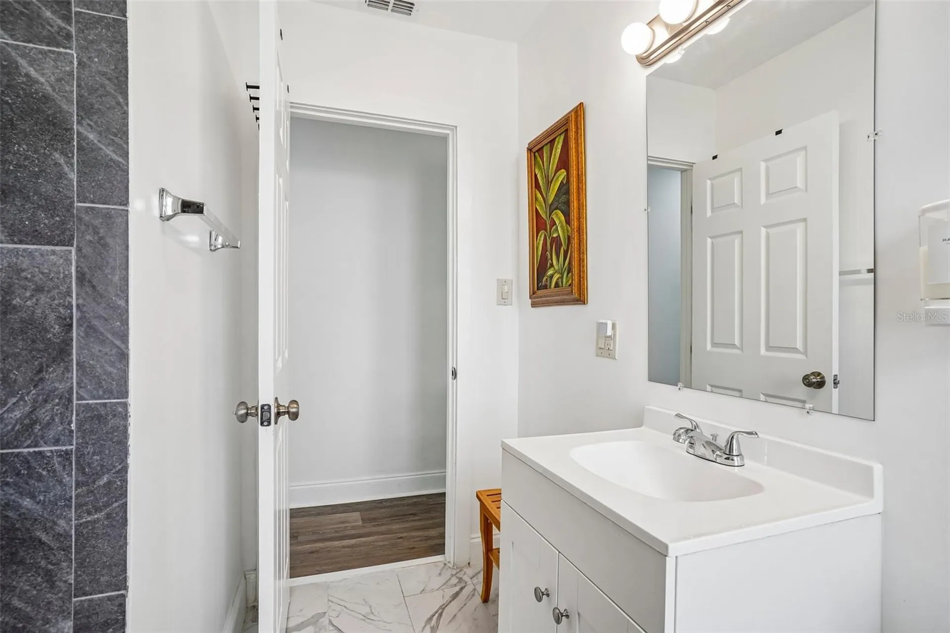 1211 Morningside Drive Mount Dora FL 32757