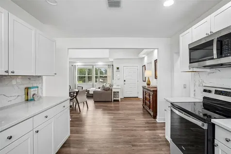 1211 Morningside Drive Mount Dora FL 32757
