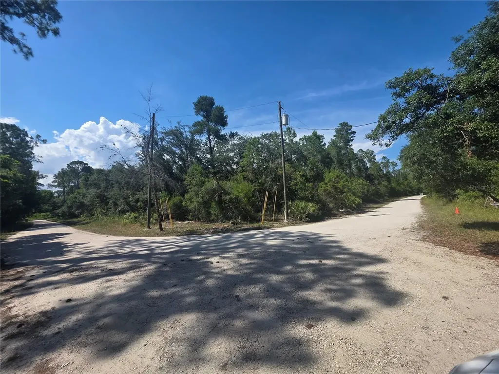 145 Sweetwater Trail Kissimmee FL 34747