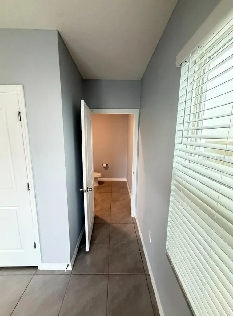17029 Blister Wing Drive Wimauma FL 33598
