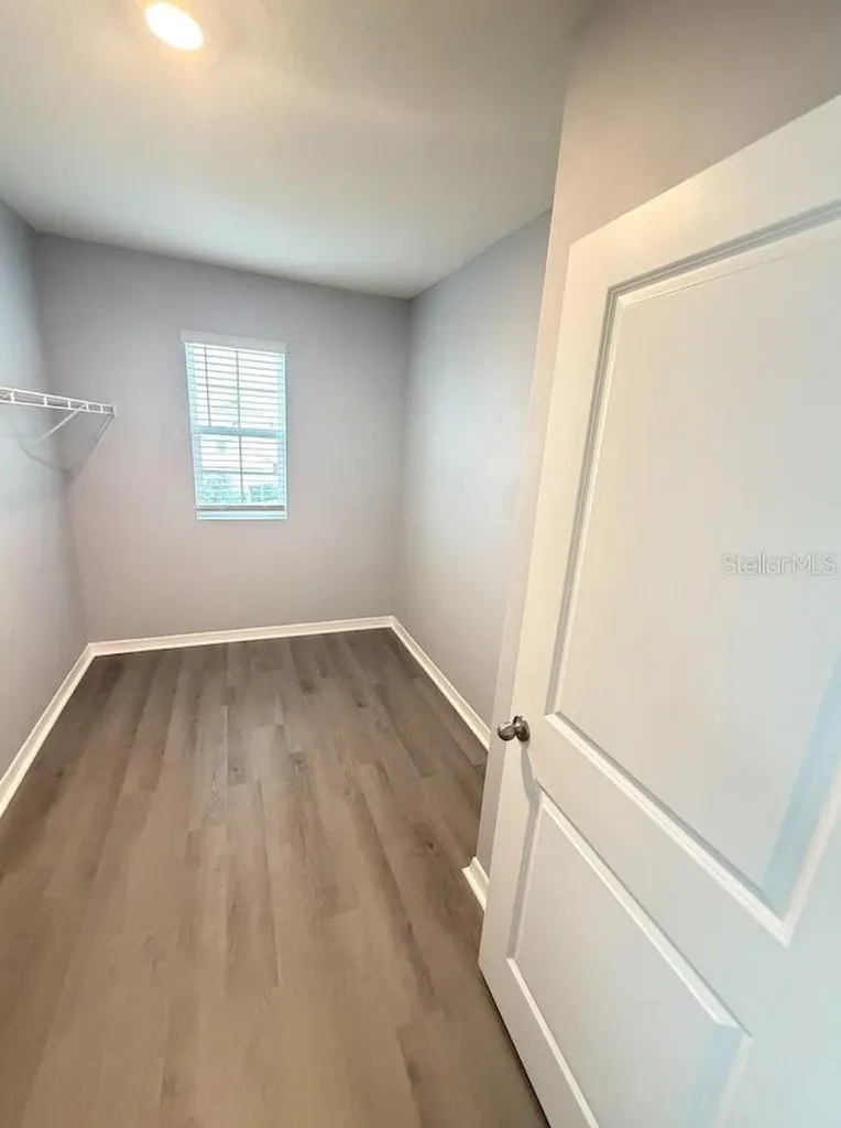 17029 Blister Wing Drive Wimauma FL 33598