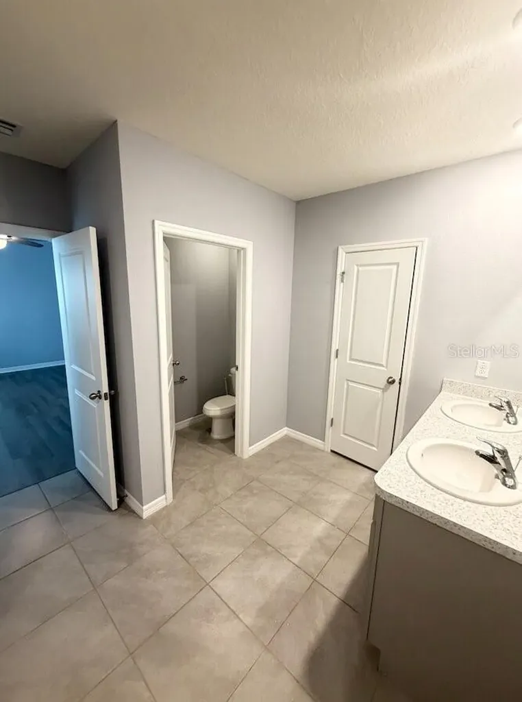 17029 Blister Wing Drive Wimauma FL 33598