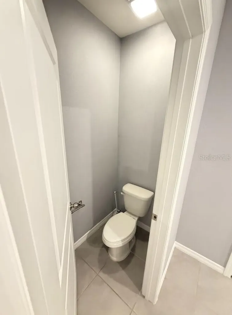 17029 Blister Wing Drive Wimauma FL 33598