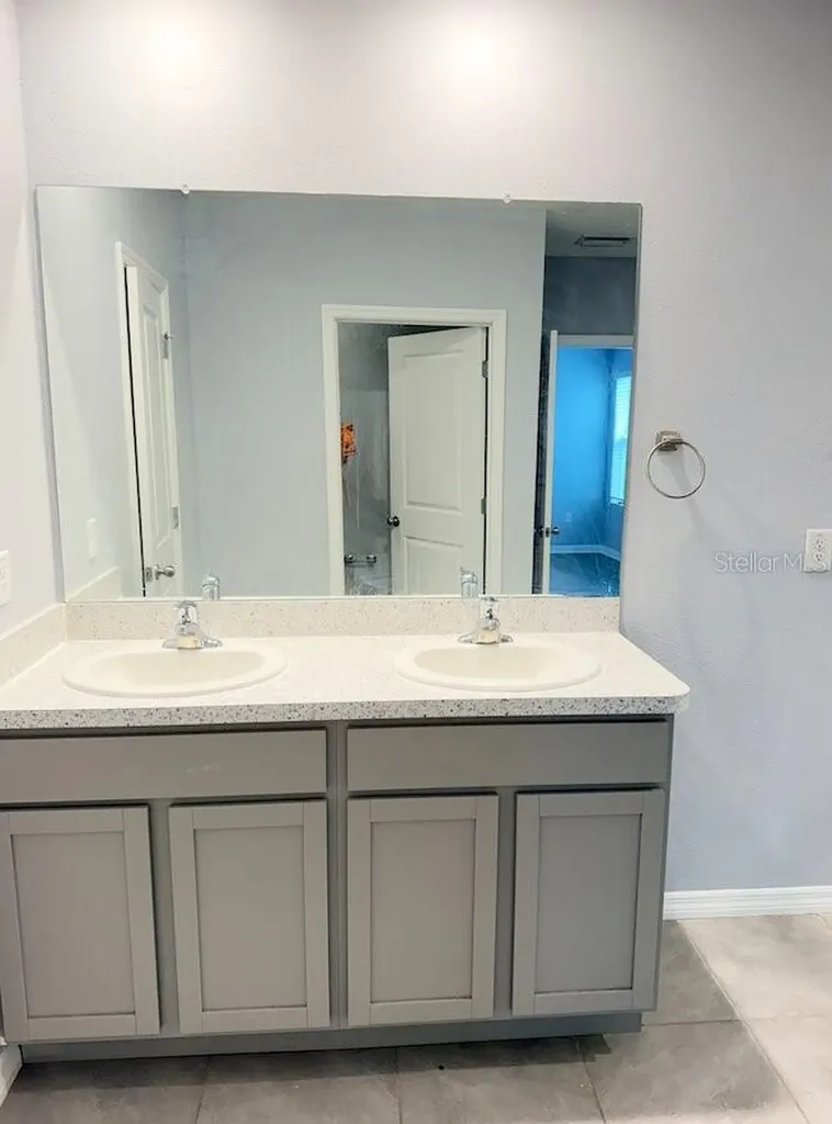 17029 Blister Wing Drive Wimauma FL 33598