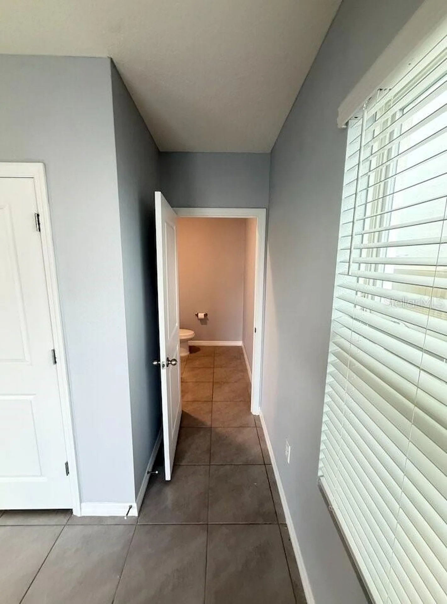 17029 Blister Wing Drive Wimauma FL 33598