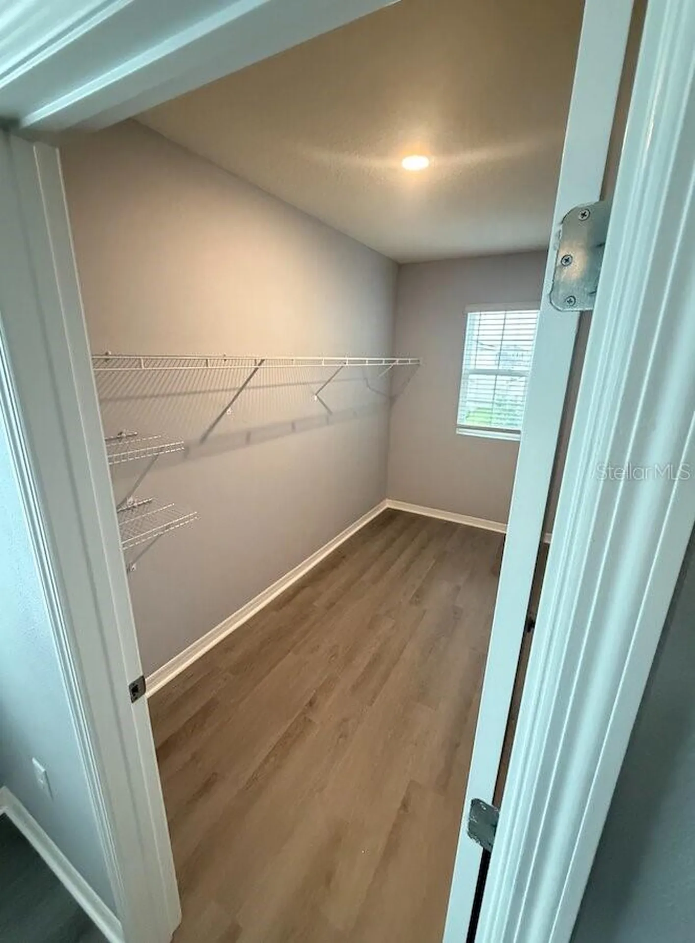 17029 Blister Wing Drive Wimauma FL 33598