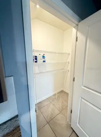 17029 Blister Wing Drive Wimauma FL 33598