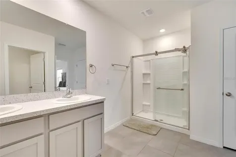 17029 Blister Wing Drive Wimauma FL 33598