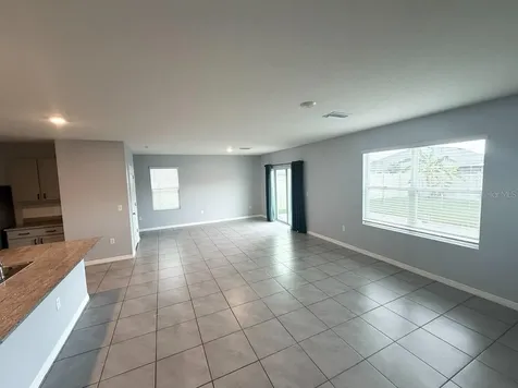 17029 Blister Wing Drive Wimauma FL 33598