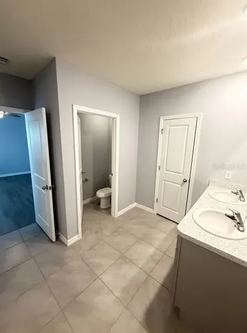 17029 Blister Wing Drive Wimauma FL 33598