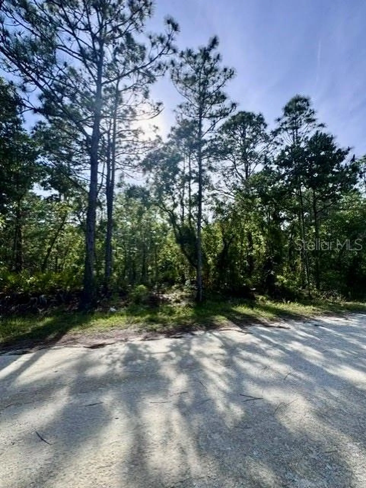 Macek Road Weeki Wachee FL 34614