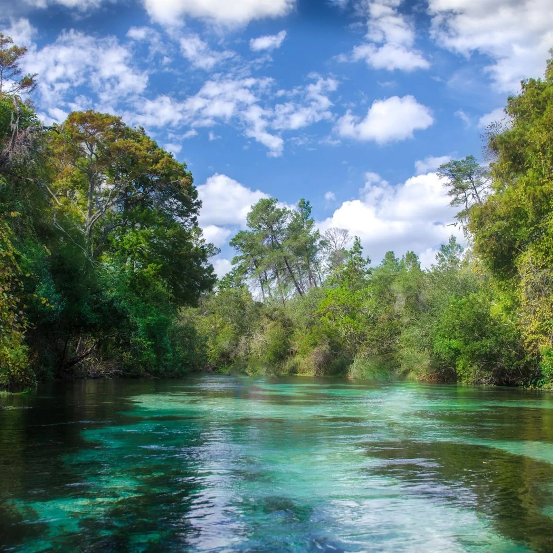 Macek Road Weeki Wachee FL 34614