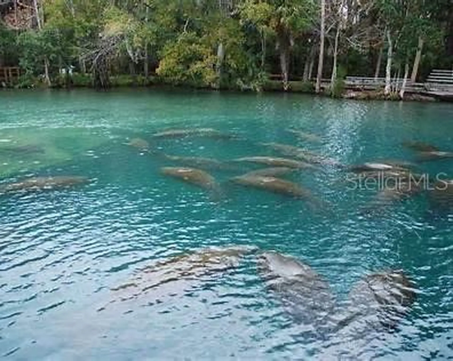Macek Road Weeki Wachee FL 34614