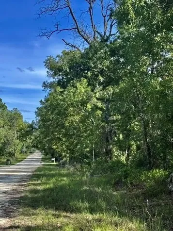 Macek Road Weeki Wachee FL 34614