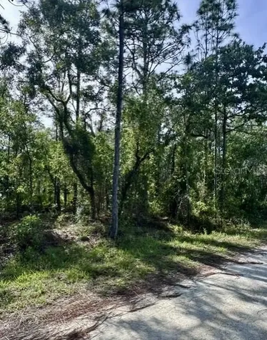 Macek Road Weeki Wachee FL 34614