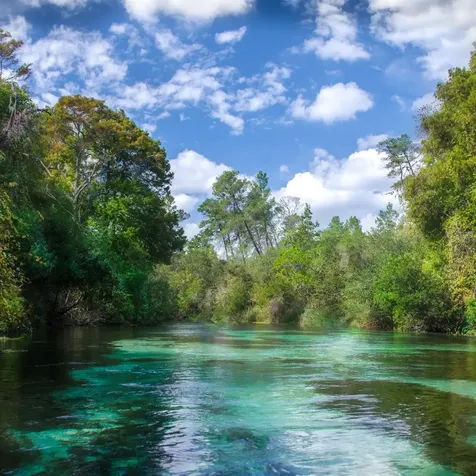 Macek Road Weeki Wachee FL 34614