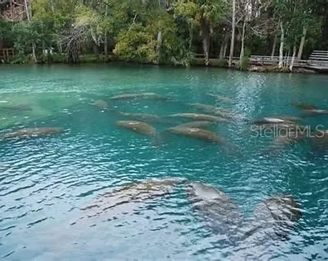 Macek Road Weeki Wachee FL 34614