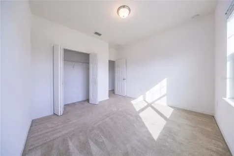2247 White Feather Loop Oakland FL 34760