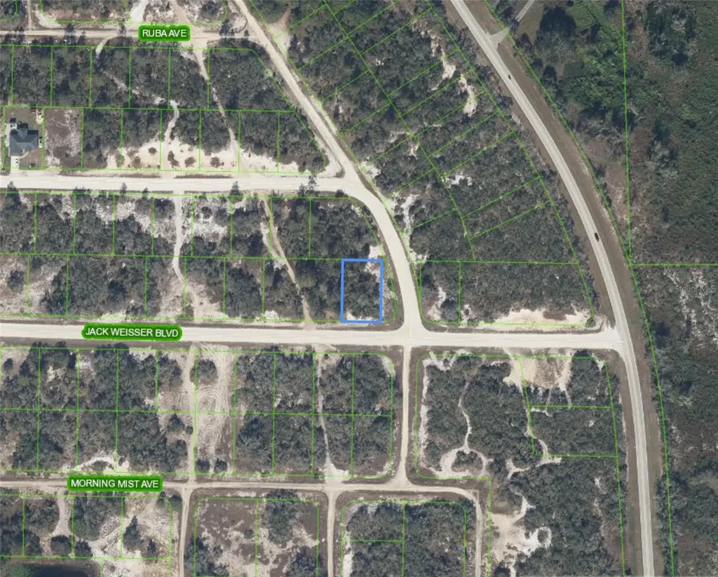 472 Jack Weisser Boulevard Lake Placid FL 33852
