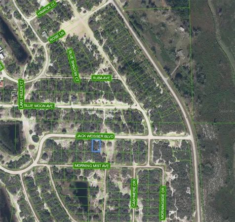 Lake Placid FL 33852