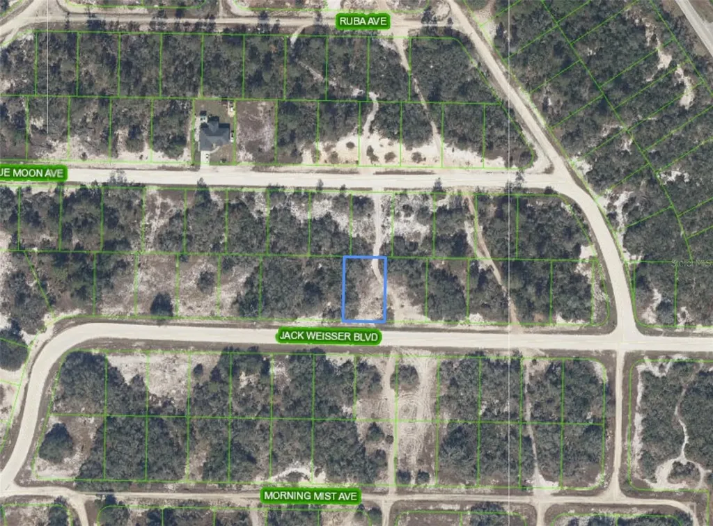 462 Jack Weisser Boulevard Lake Placid FL 33852