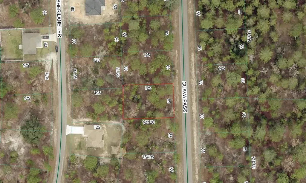 Guava Pass Lot 10 Ocklawaha FL 32179