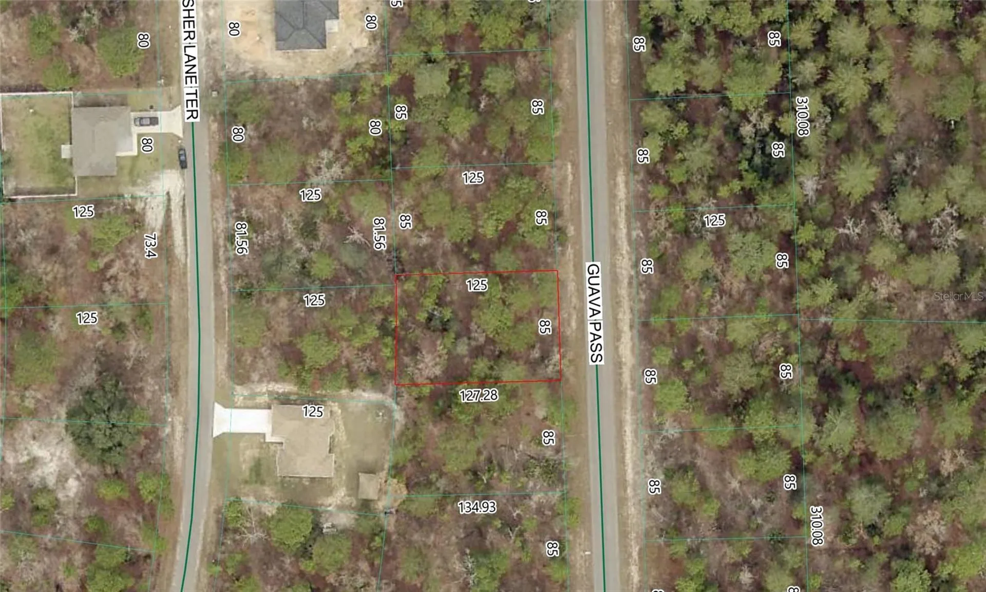 Guava Pass Lot 10 Ocklawaha FL 32179
