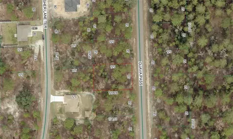 Guava Pass Lot 10 Ocklawaha FL 32179