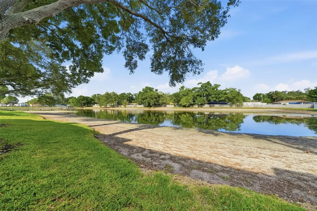3821 N Oak Drive Tampa FL 33611