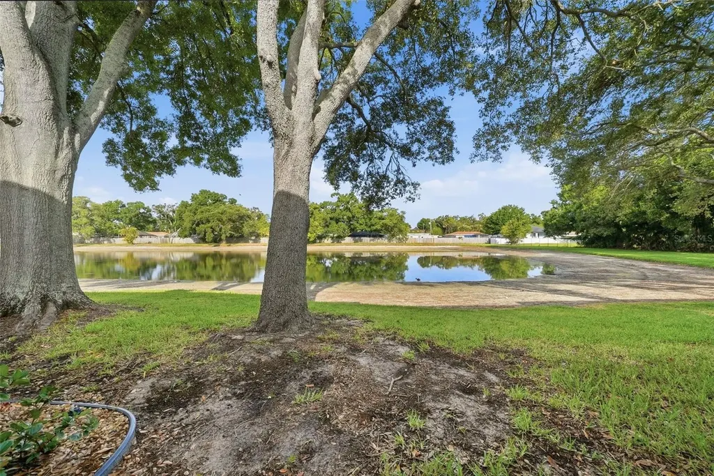 3821 N Oak Drive Tampa FL 33611