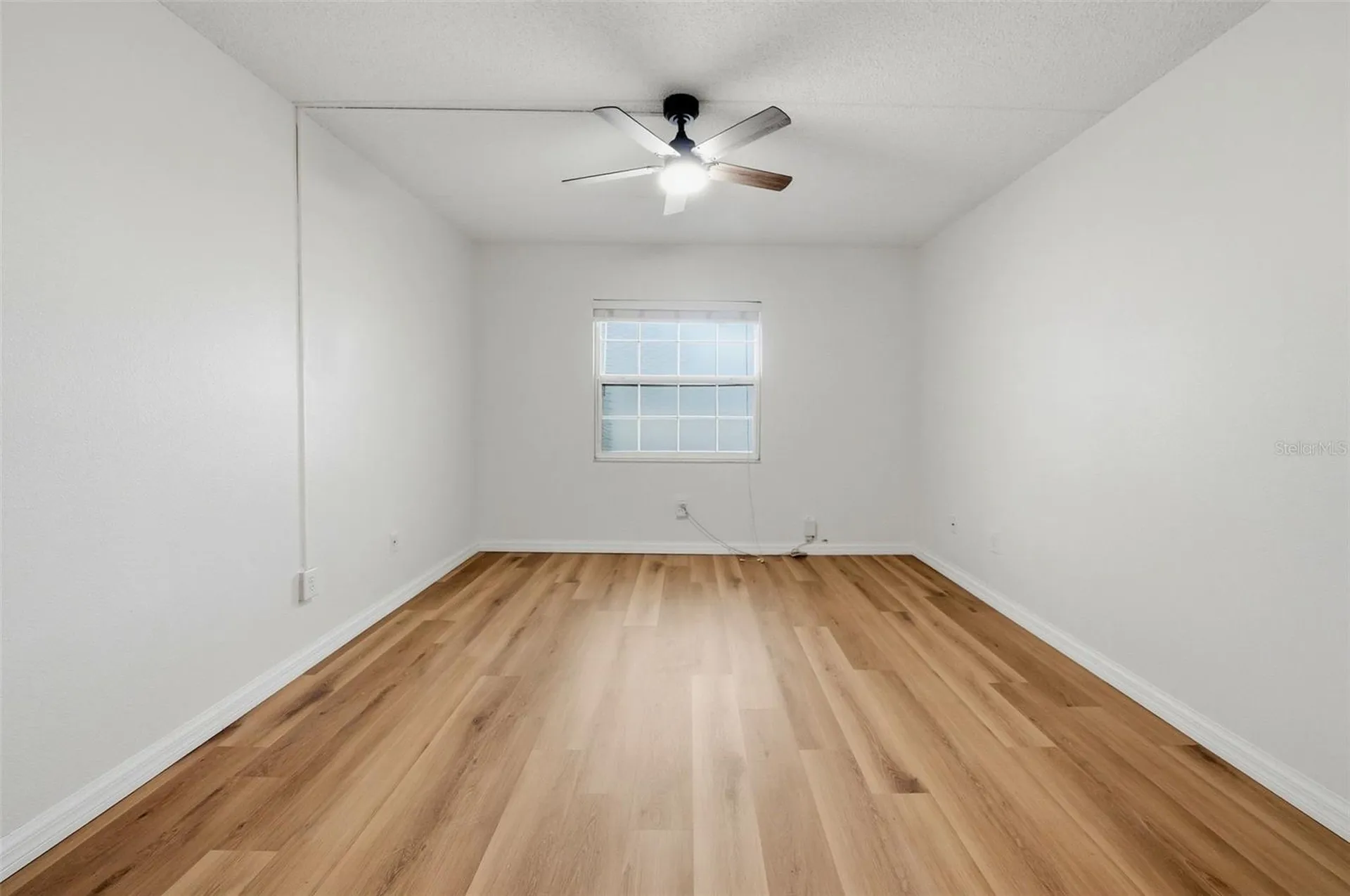3821 N Oak Drive Tampa FL 33611