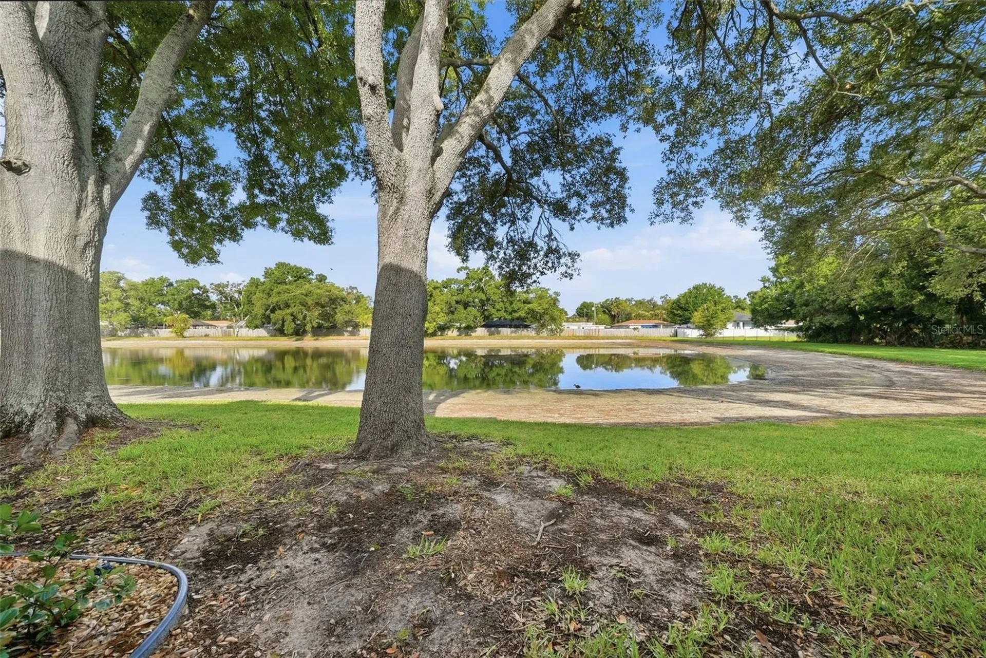 3821 N Oak Drive Tampa FL 33611