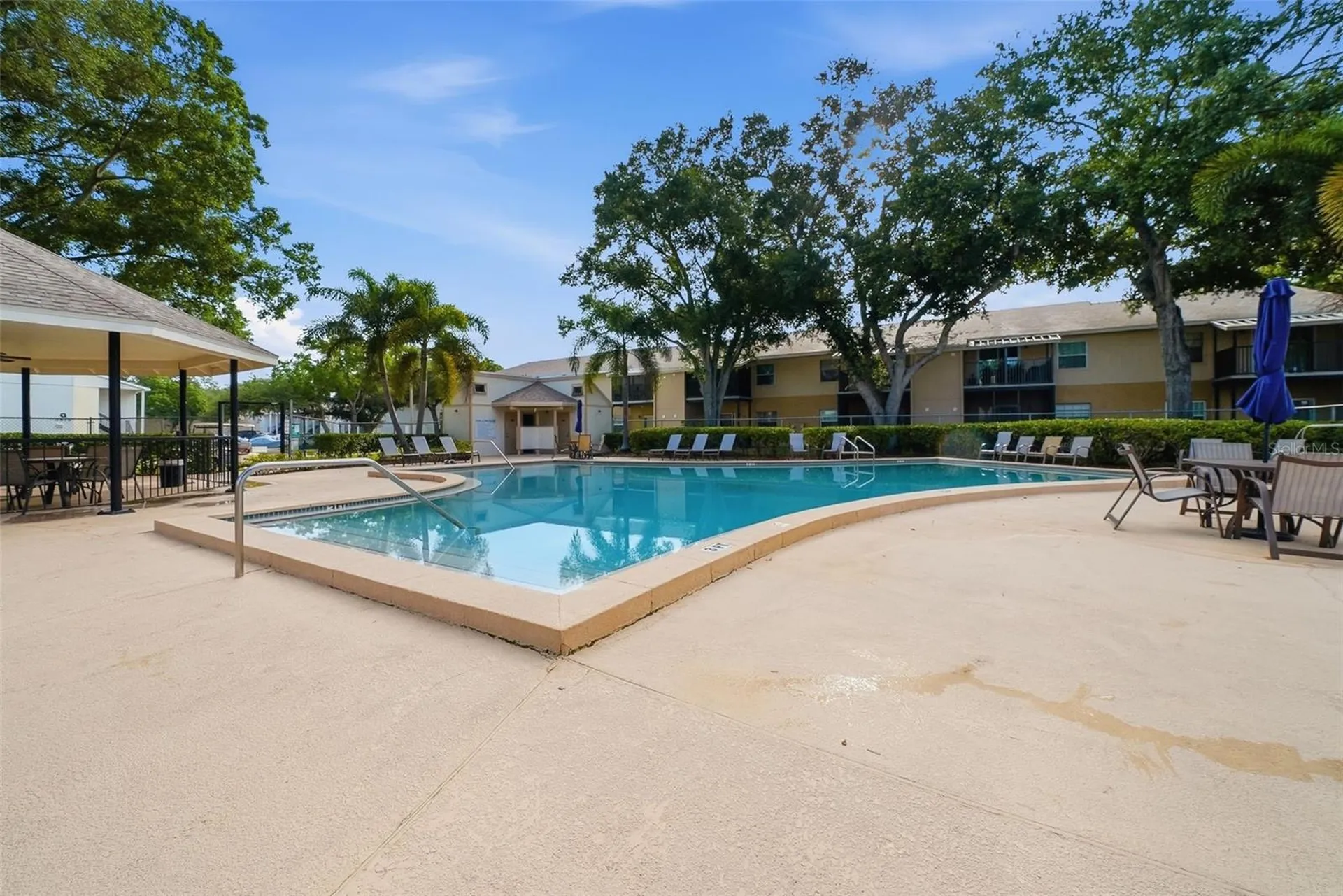 3821 N Oak Drive Tampa FL 33611