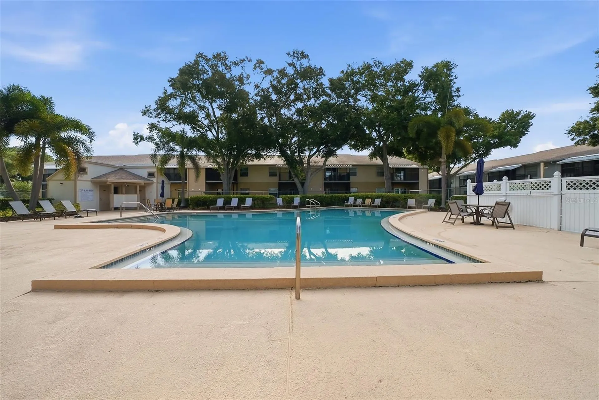 3821 N Oak Drive Tampa FL 33611