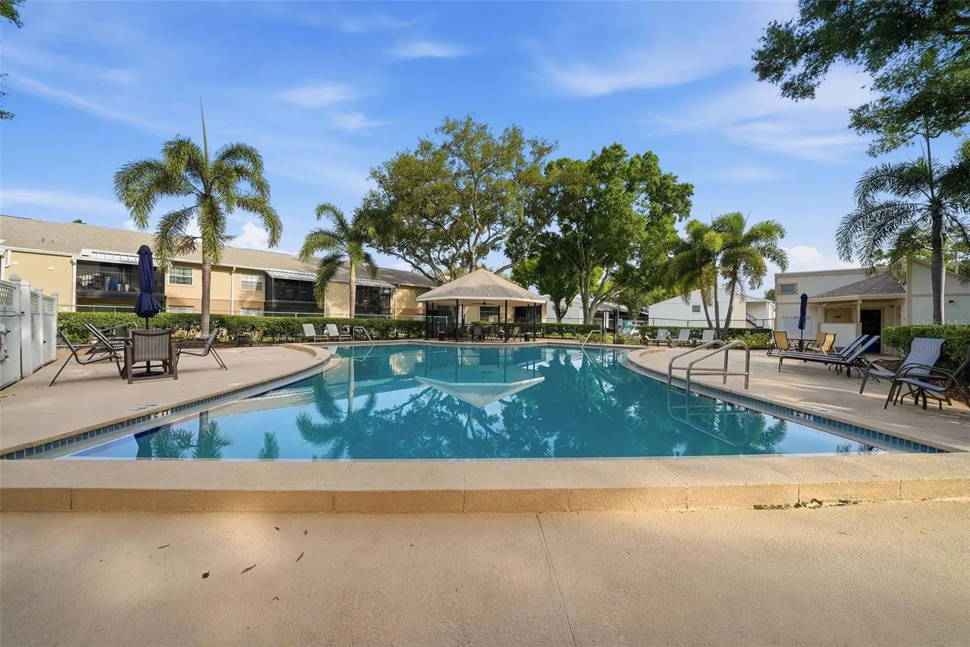 3821 N Oak Drive Tampa FL 33611