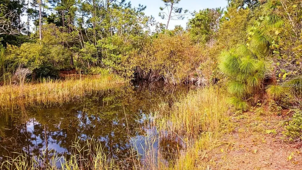 1177 Pfundstein Road Babson Park FL 33827
