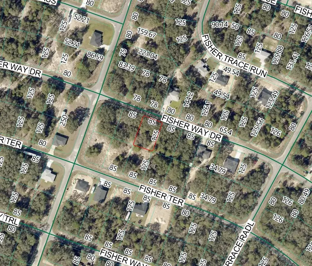 Fisher Way Dr Lot 11 Ocklawaha FL 32179