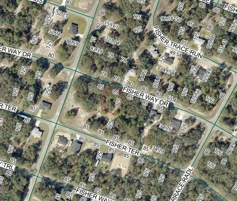 Fisher Way Dr Lot 11 Ocklawaha FL 32179