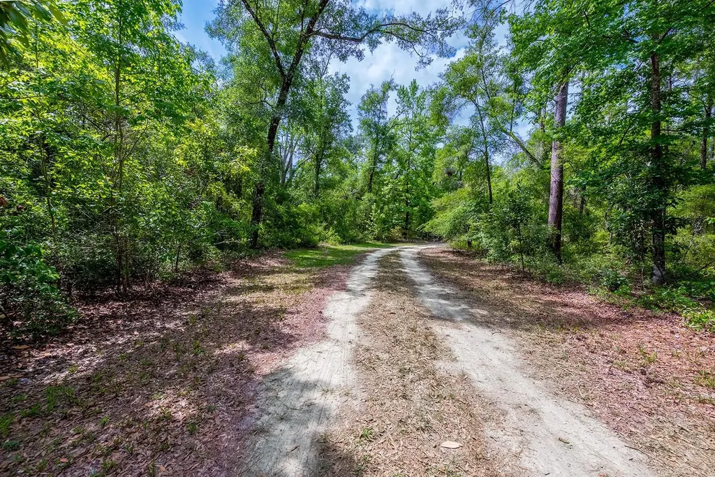 225 NE 543rd Avenue Old Town FL 32680