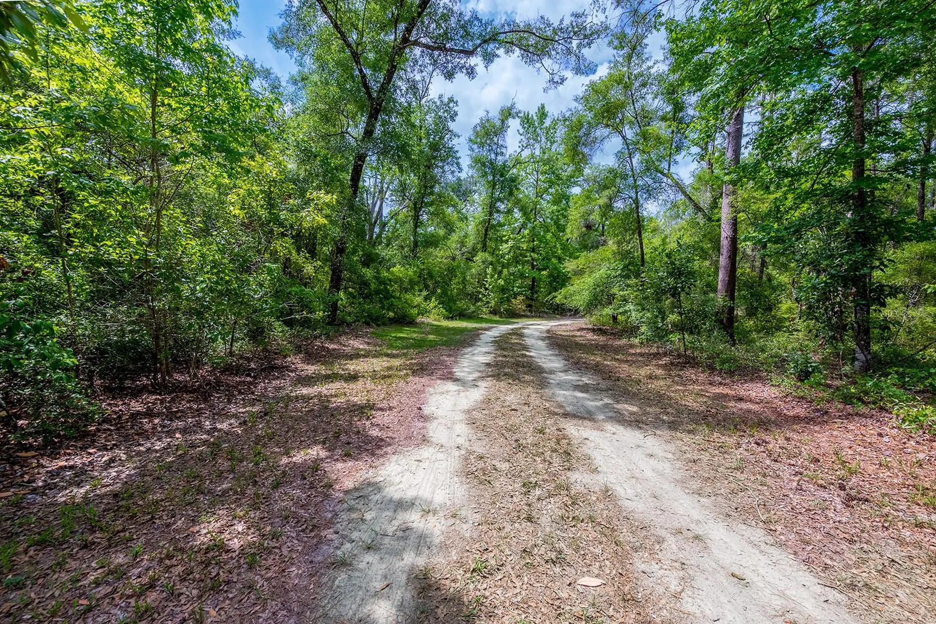 225 NE 543rd Avenue Old Town FL 32680