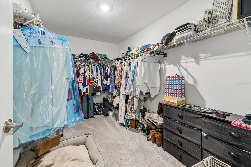 22203 Calisto Way Land O Lakes FL 34637