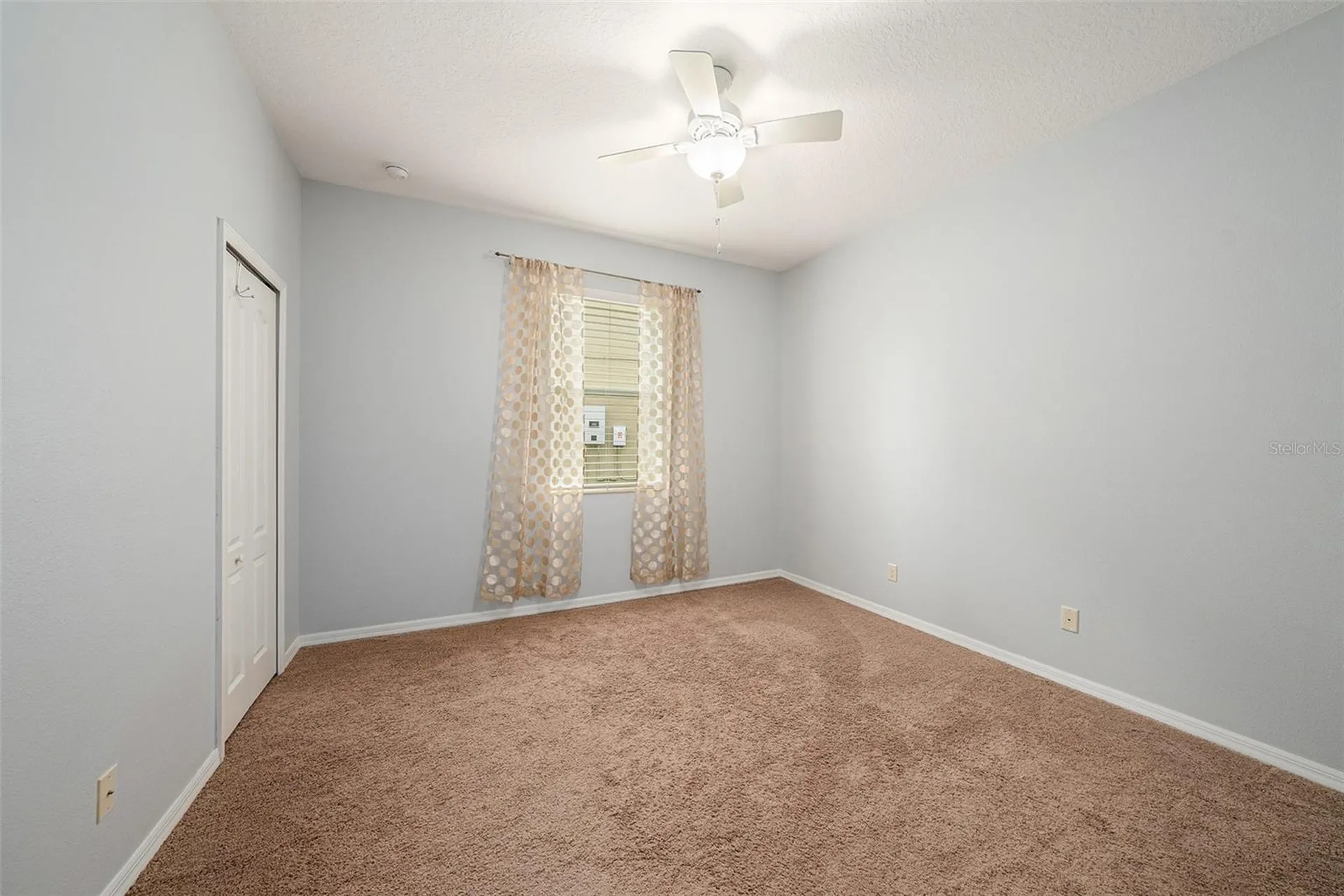 20017 Painting Nature Lane Tampa FL 33647