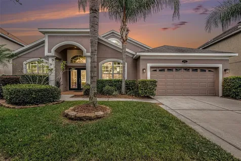 20017 Painting Nature Lane Tampa FL 33647