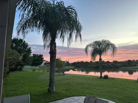 20017 Painting Nature Lane Tampa FL 33647